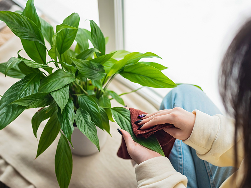 アフターフォロー